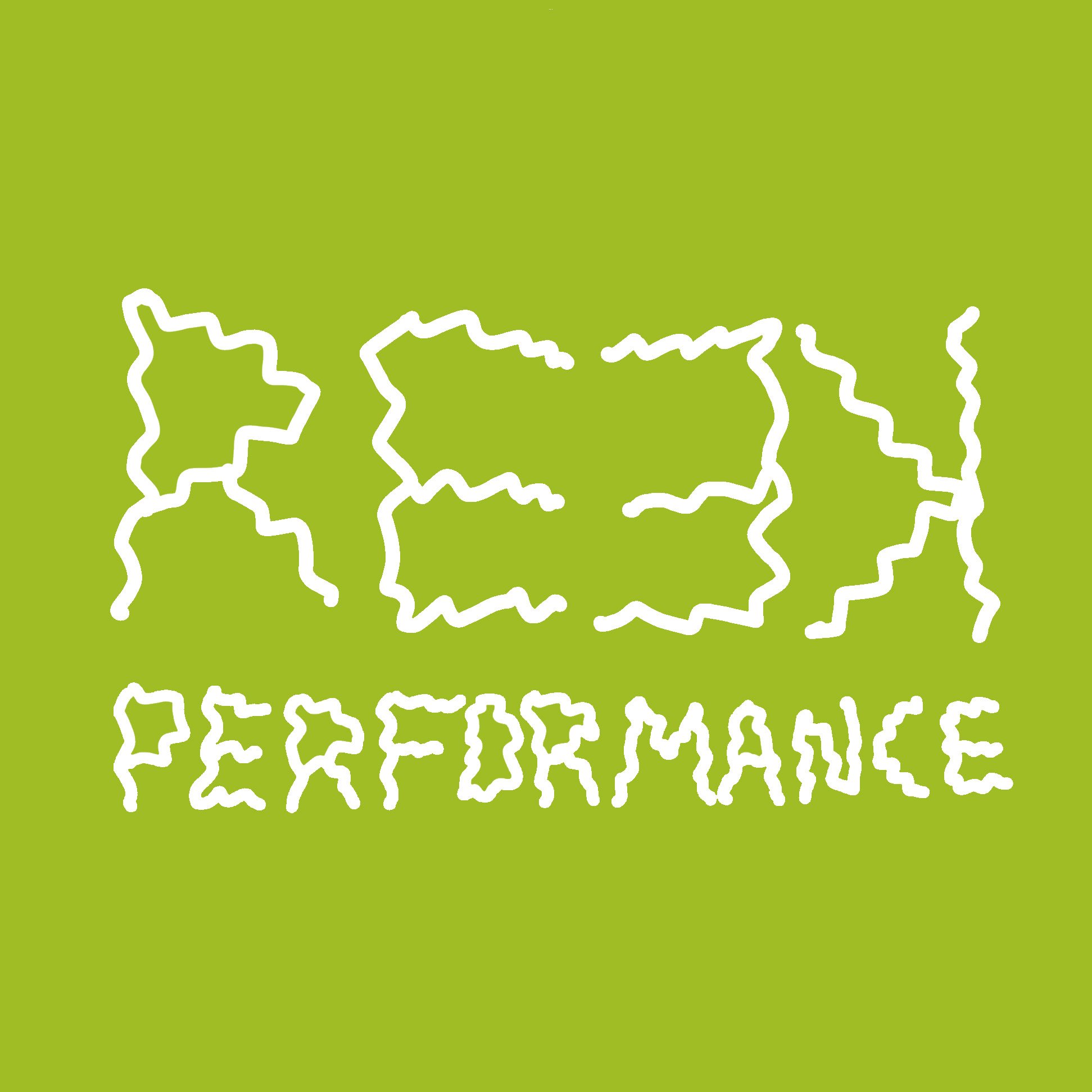 Reek Performance logo